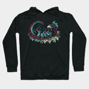 Nest Hoodie